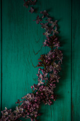 spring lilac on a wooden, turquoise background.