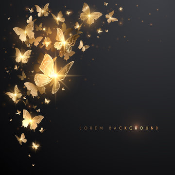 Gold butterflies with light effect on black background