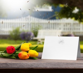 A fresh bouquet of tulips with a blank card