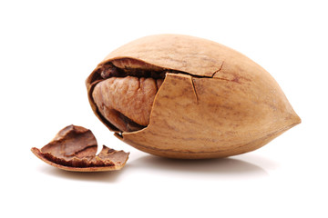 Pecan nuts on white background