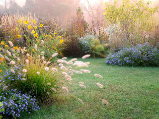 A beautiful fall (autumn) garden that includes flowers, seedheads, and foliage of perennials, grasses, and woody plants, with lawn  copy space