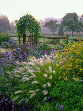 Vertical image of a beautiful country garden in fall with flowers, herbs, shrubs, trees, ornamental grasses, an arbor (arch) covered with 'Heavenly Blue' morning glory, and a fence and gate