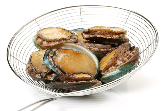 Raw abalones on the white background 