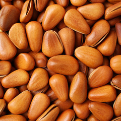 Pine nuts on white background 