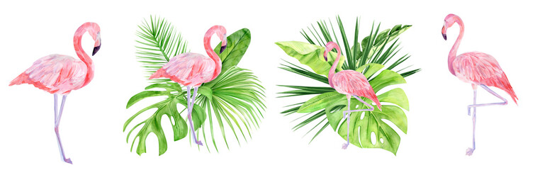 Watercolor illustration set tropical exotic bird pink flamingo. Perfect as background texture, wrapping paper, textile or wallpaper design. Hand drawn isolated bird
