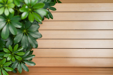 Above summer resort concept Space to place, Composition, Brown wood flooring With bright green leaves on the foreground
