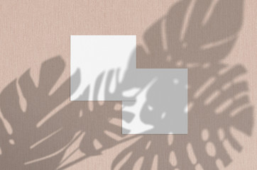 Business card Mockup. Natural overlay lighting shadows the monstera leaves. Square business cards. Scene of Leaf Shadows on biege background.