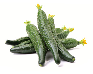 Green cucumber on the white background 