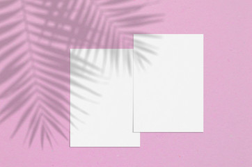 Blank white vertical paper sheet 5x7 inches with palm shadow overlay. Modern and stylish greeting card or wedding invitation mock up.