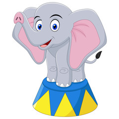 illustration of cartoon elephant circus