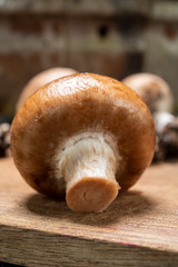 Cave brown champignon mushrooms ready to eat