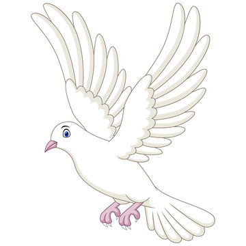 recommend clip art: Illustration of a cartoon dove on white background
