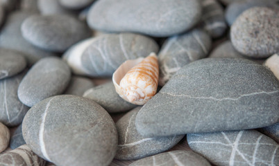 Grey pebbles on vintage wood planks. Natural background.Top view point.