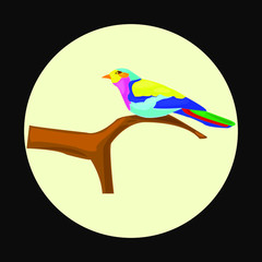 nature bird illustration animal vector