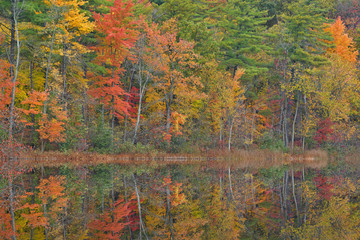 Autumn landscape of Long Lake with mirrored reflections in calm water, Yankee Springs State Park, Michigan, USA