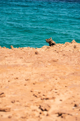 Cap blanc