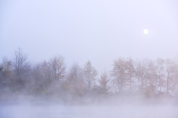 Foggy spring landscape at sunrise, Whitford Lake, Fort Custer State Park, Michigan, USA