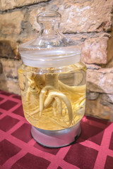 Vintage glass bottle with whole ginseng root healing tincture