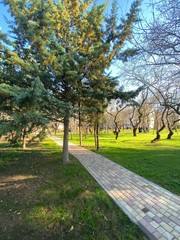 A footpath in a place for leisure and recreation. Untouched by man nature.