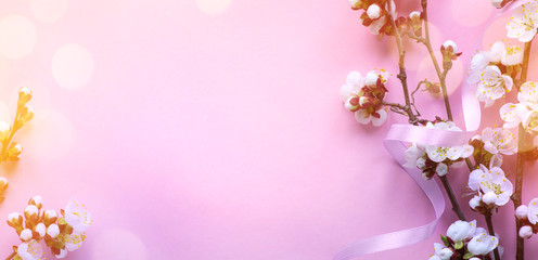 Fototapeta na wymiar Amazing spring blossom banner background; Beautiful cherry tree tender flowers on pink background. Top view, flat lay with copy space.