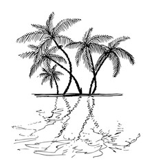 tropical palm trees reflection in the water. Hand drawn ink sketch. Graphics illustration