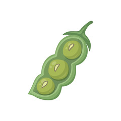 Vector Soya Product. Soy green pods and beans. Legumes sprouts cartoon flat illustration.