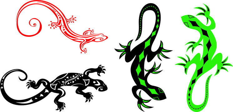 vector image of lizards for tattoos and logos