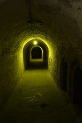 Fototapeta na wymiar Tunnel grün