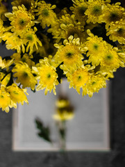 yellow chrysanthemum on a grey stone background, with an open book, top view