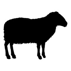 Vector Sheep Black Silhouette Illustration