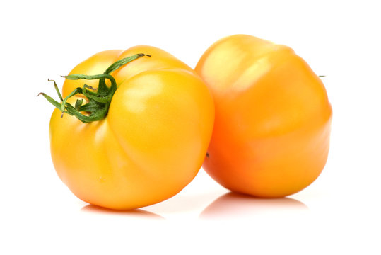 fresh yellow tomatoes on white background 