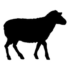 Vector Sheep Black Silhouette Illustration