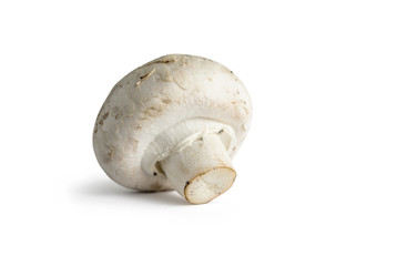 White mushroom on white background