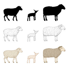 Vector Set of Sheep, Ram, Lamb Illustration. Silhouette, Sketch, Cartoon Style.
