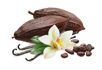 Cocoa pods and vanilla beans isolated on white background