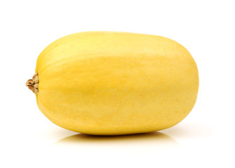 organic spaghetti squash Cucurbita pepo vegetable on white background
