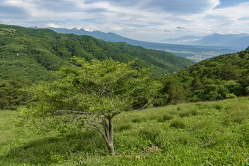 Fototapeta premium 車山高原の絶景