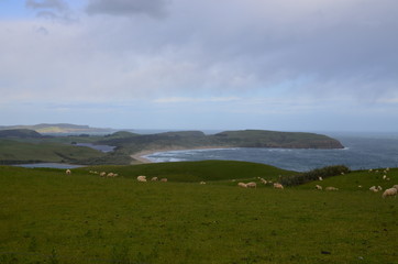 S&uuml;dkap Slope Point Neuseeland S&uuml;dinsel