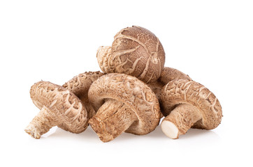 shiitake isolated on white background