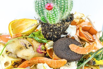 Organic waste .   Compost Environment Symbol . Food waste isolated concept  .