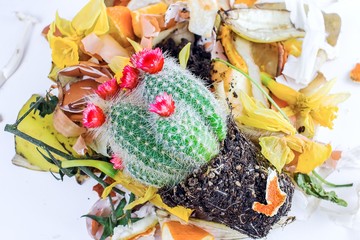 Organic waste .   Compost Environment Symbol . Food waste isolated concept  .