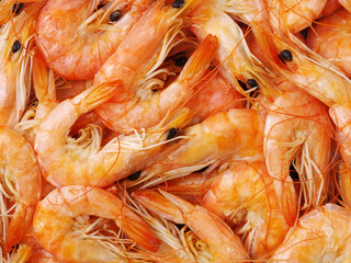 Shrimps close-up as a background