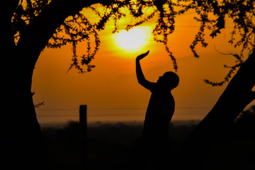 sunrise, earlymorning, kenyansunriseview, sun, trees, roadtrip