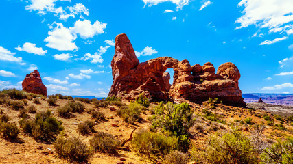 Turret Arch, one of the many large Sandstone Arches in the desert landscape of Arches National Park Utah, United States © hpbfotos