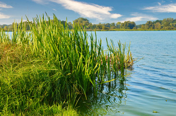 View to the Gartower Lake in Lower Saxony, Germany, under a blue sky.
