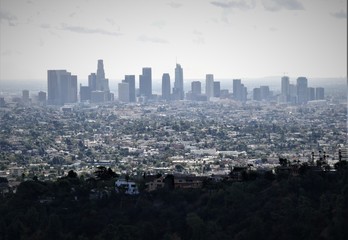 Obraz premium Los Angeles