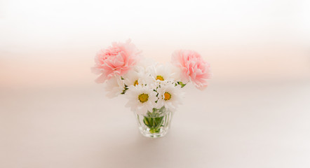 ピンクのカーネーションと白い菊の花のブーケ 白背景