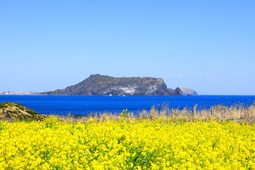 제주에 있는 유명한 관광지  '일출봉'의 봄 풍경이다.
