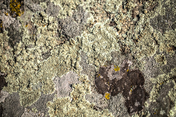 Rocks background close up another planet textures
