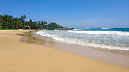 Sandy beach with palm trees by the ocean